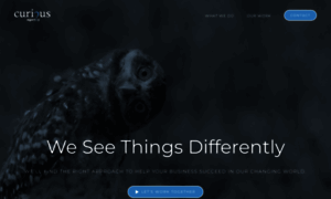 Curious.agency thumbnail