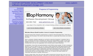 Custom-software-development-chicago.com thumbnail