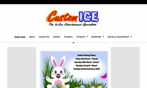 Customice.org.uk thumbnail