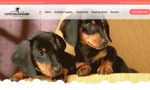 Cutedachshundpups.com thumbnail