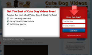 Cutedogvideos.tv thumbnail