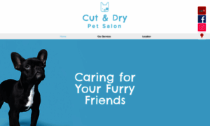 Cutndrypetsalon.com thumbnail