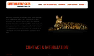 Cuttingedgecats.com thumbnail