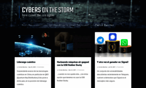 Cybersonthestorm.com thumbnail