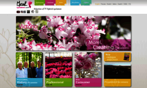 Cyclamen.com thumbnail