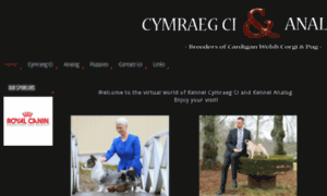 Cymraegci-analog.com thumbnail