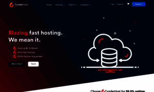 Cynderhost.net thumbnail