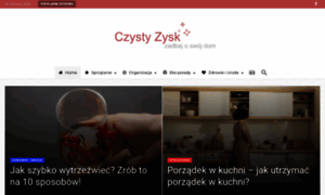 Czysty-zysk.com thumbnail