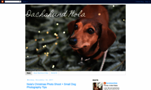 Dachshundnola.blogspot.com thumbnail