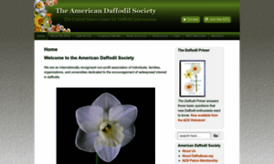 Daffodilusa.org thumbnail