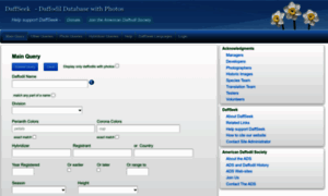 Daffseek.org thumbnail