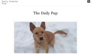 Dailyshelterdog.com thumbnail