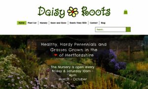 Daisyroots.com thumbnail