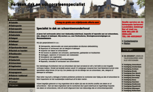 Dakenschoorsteenspecialist.nl thumbnail