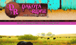 Dakotaridgeboutique.com thumbnail