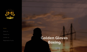 Dallasgoldengloves.org thumbnail