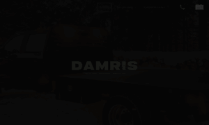 Damris.ca thumbnail