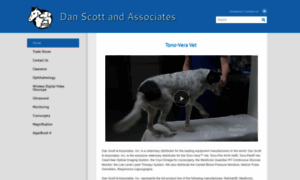 Danscottandassociates.com thumbnail