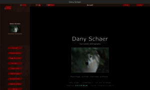 Dany-schaer.ch thumbnail