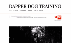 Dapperdogtraining.com thumbnail