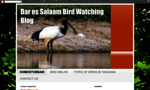 Darbirdwatching.blogspot.com thumbnail