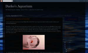 Darko-aquarium.blogspot.com thumbnail