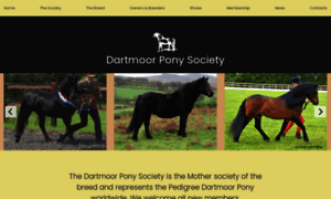 Dartmoorponysociety.com thumbnail