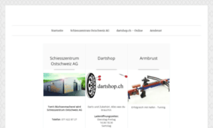 Dartshop.ch thumbnail