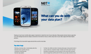 Data.net10.com thumbnail