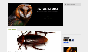 Datanatura.blogspot.com thumbnail