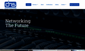 Datanetworksystems.net thumbnail
