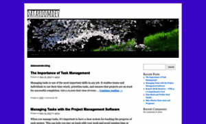 Dataroomdev.blog thumbnail