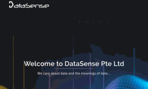 Datasense.sg thumbnail