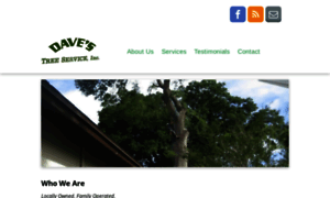 Davestreeservice.info thumbnail