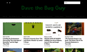 Davethebugguy.org thumbnail