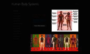 David-humanbodysystems.weebly.com thumbnail