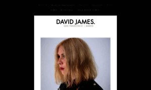 David-salon.com thumbnail