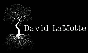 Davidlamotte.com thumbnail