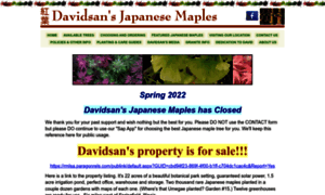 Davidsansjapanesemaples.com thumbnail