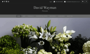 Davidwayman.co.uk thumbnail