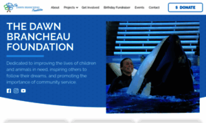 Dawnsfoundation.org thumbnail