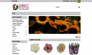 Dbec-wholesale.com thumbnail