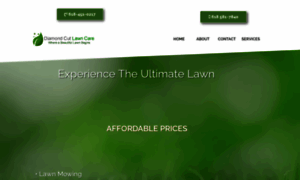 Dc-lawn-care.com thumbnail