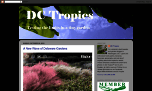 Dctropics.blogspot.com thumbnail