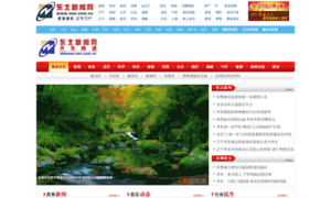 Ddnews.nen.com.cn thumbnail