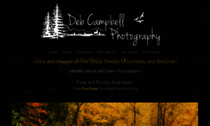 Debcampbellphoto.com thumbnail