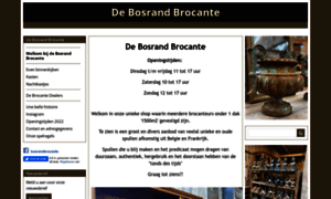 Debosrandbrocante.nl thumbnail