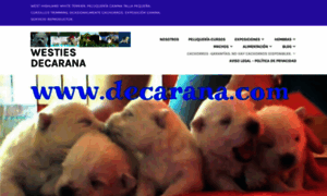 Decarana.com thumbnail