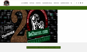 Decharros.com thumbnail