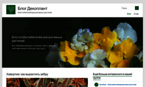 Decoplant.ru thumbnail